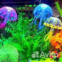 Медуза для аквариума купить на Зозу.ру - фотография № 1
