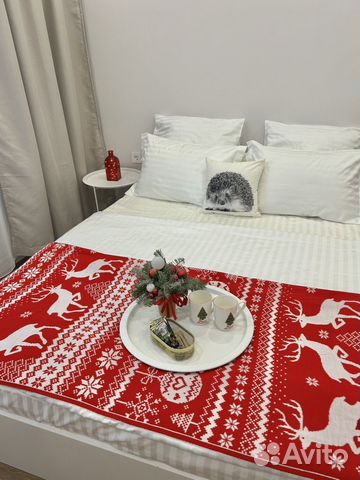 

Квартира-студия, 25 м², 1 кровать