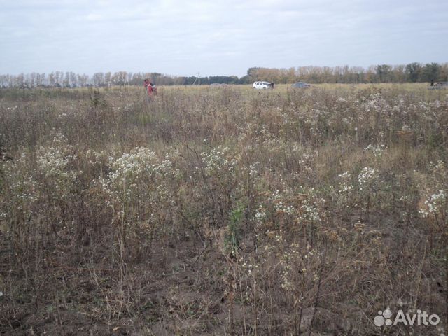 Купить Участок В Курске В Центральном