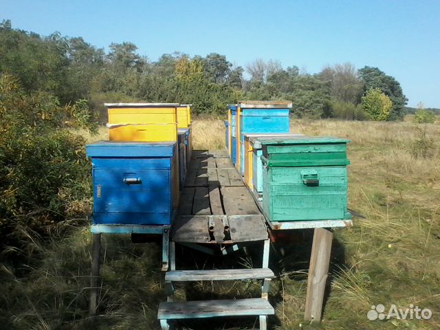 Продам пчеловодческий инвентарь купить на Зозу.ру - фотография № 3