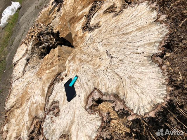 Слэб дерева Карагач и другие