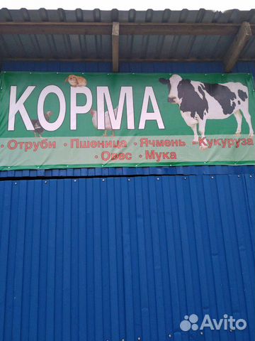 Отруби, комбикорм, пшеница, ячмень,овес купить на Зозу.ру - фотография № 1