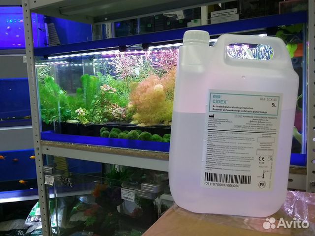 Сайдекс(Cidex), эффективное средство от водорослей купить на Зозу.ру - фотография № 1
