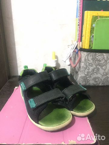Ecco biom Ecco biom
