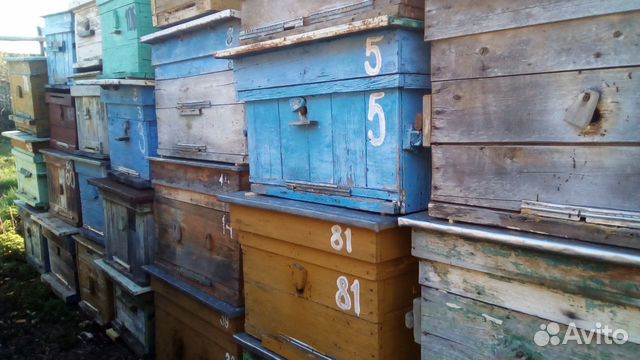 Ульи для пчел купить на Зозу.ру - фотография № 5