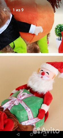 Костюм для собак