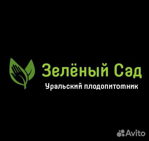 Купить Саженцы В Челябинске В Зеленый Сад