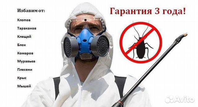 Уничтожение клопов, тараканов, блох, мышей Уничтожение клопов, тараканов, блох, мышей