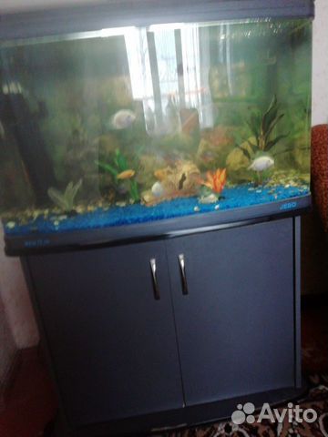 Продам аквариум 160 литров купить на Зозу.ру - фотография № 3