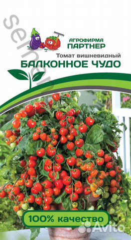 Семена томатов черри Семена томатов черри