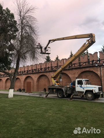 Удаление и обрезка деревьев с автовышки Удаление и обрезка деревьев с автовышки