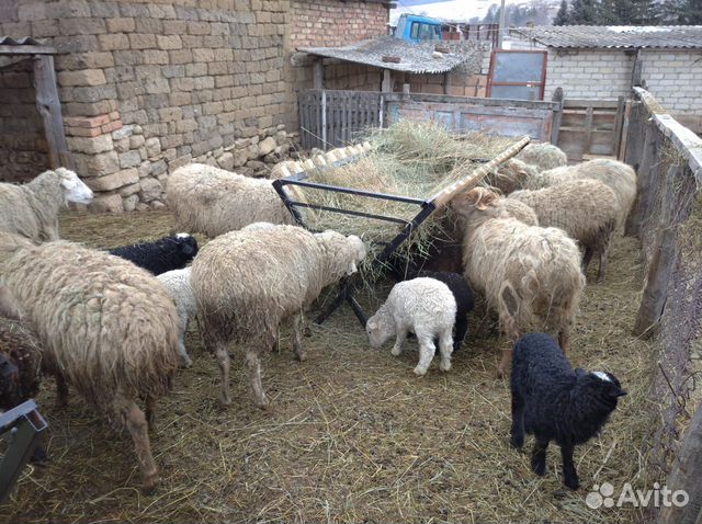 Кормушки для овец купить на Зозу.ру - фотография № 2