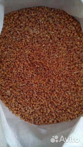 Зерно пшеницы, кукуруза купить на Зозу.ру - фотография № 2