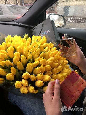Тюльпаны Тюльпаны