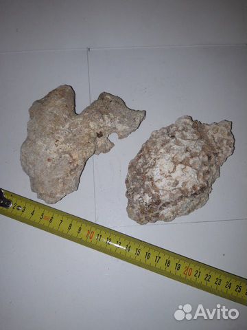 Сухой рифовый камень купить на Зозу.ру - фотография № 4