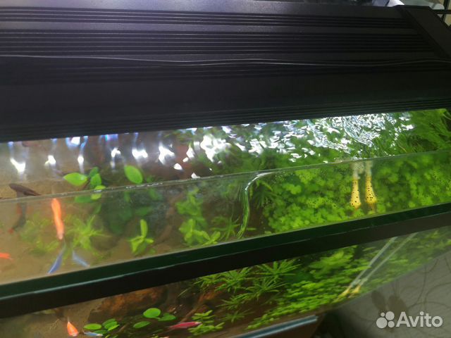 Свет В аквариум nicrew 76-96 см купить на Зозу.ру - фотография № 2