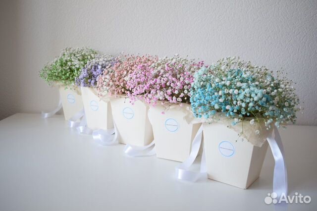 Гипсофила Цветы Букеты Доставка Спб