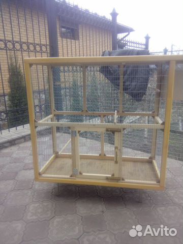 Клетка