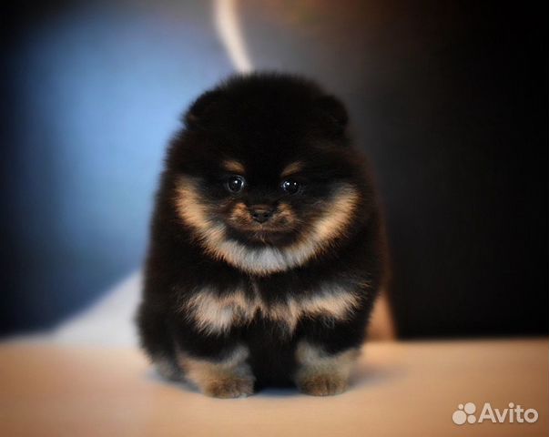 Мишка мальчишка Мишка мальчишка