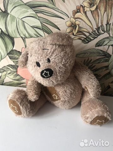 Бурый медведь