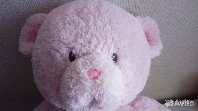 Продам медведя teddy из хлопка Продам медведя teddy из хлопка