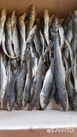 Рыба продать вяленую. Мелочь вяленая. Уклейка рыба вяленая. Некондиция рыбы сушеной. Рыба продать вяленую.
