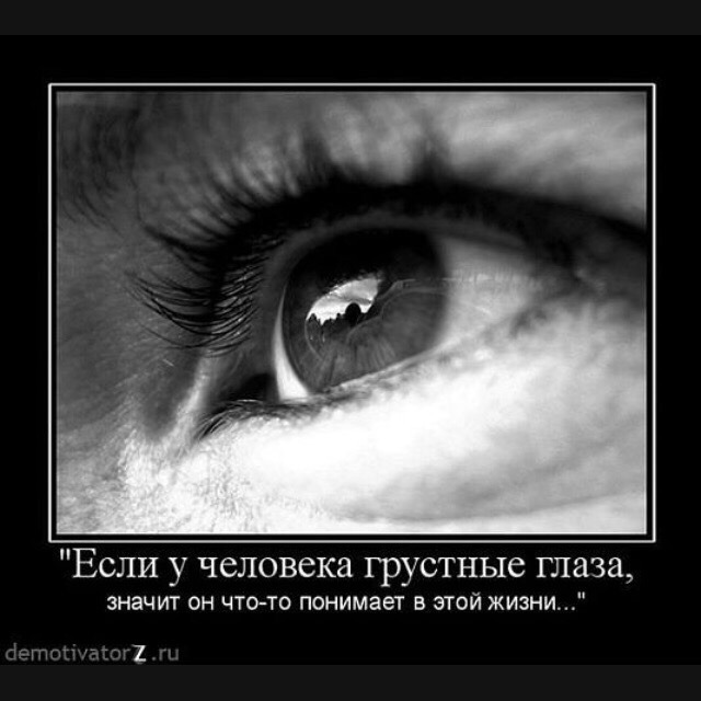 Грустные глаза как выглядят RRT. Профиль пользователя на Авито