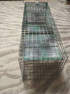 Отлов животных