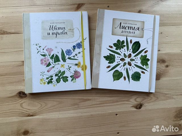 Книга мой гербарий листья деревьев