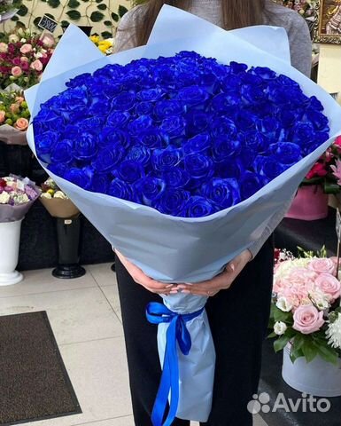 Роза Радужные чёрные синий