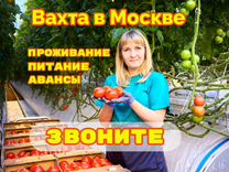 Вахта Упаковщица / к Томатов в Москве всё включено