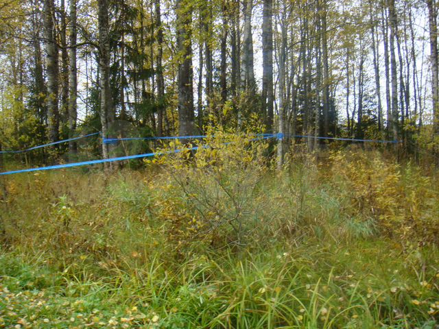 Участок 22 сот. (СНТ, ДНП)