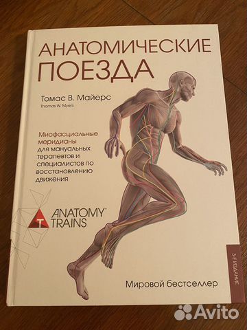 Книга раскладушка анатомия