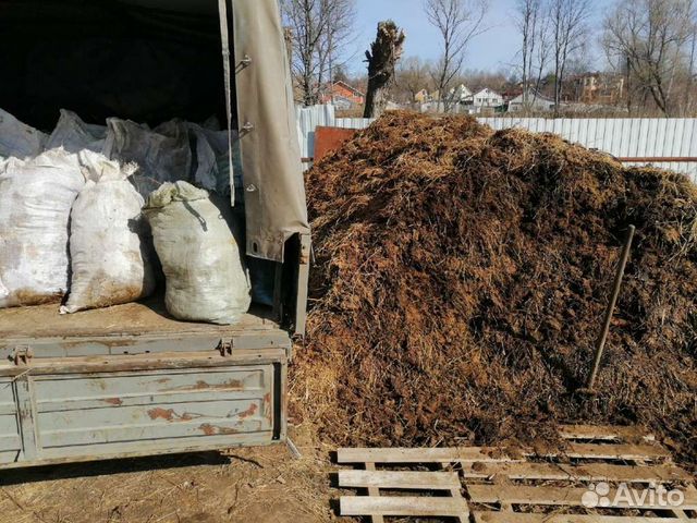 Навоз коровий (свежий, перегной)