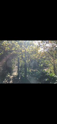 Участок 4,5 сот. (СНТ, ДНП)