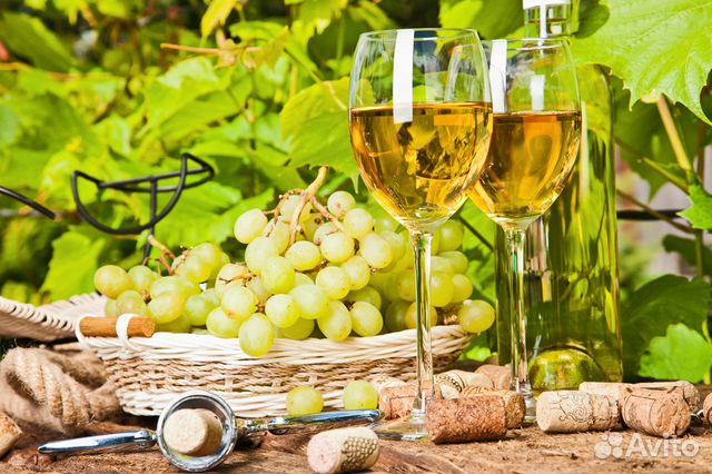 Виноград для вина  в Гражданском | Товары для дома и дачи | Авито