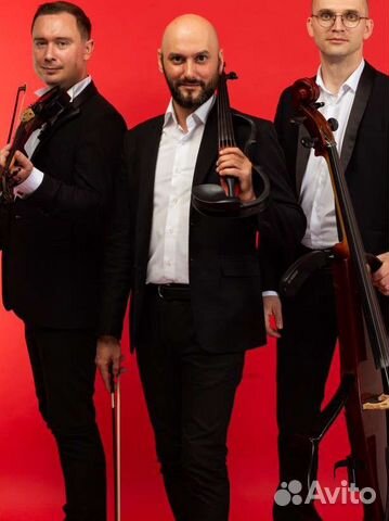 Скрипач, Скрипичное сопровождение мероприятий