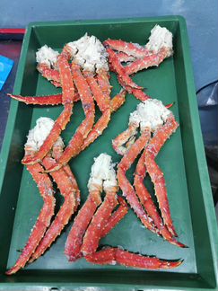 Краб Камчатский Супер Размер, сварен сегодня