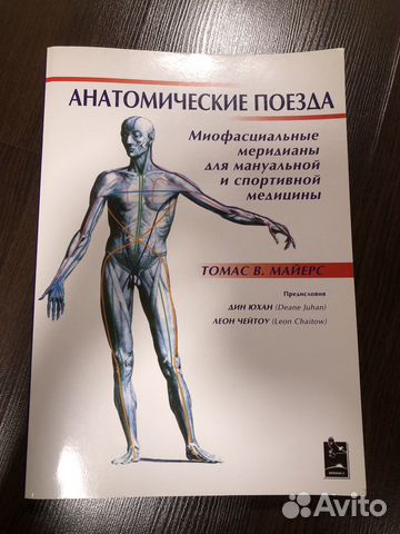 Томас майерс анатомические поезда картинки