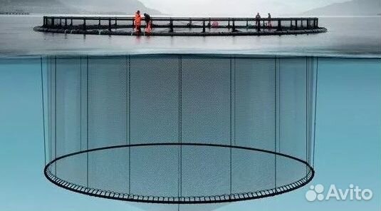 Садок Разведение Рыбы Садки для Рыбы Поплавки Дели