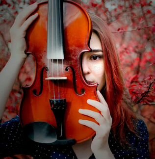 Скрипка на свадьбу, мероприятия, дни рождения