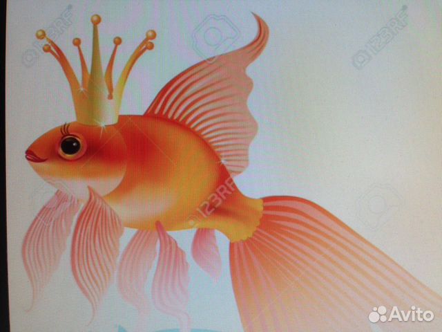 Золотая рыбка в круглом аквариуме