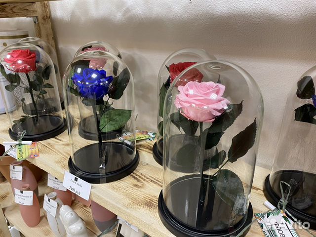 Самая большая вечная розы в колбе