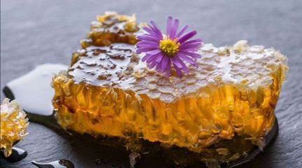 Натуральный Мёд в сотах 2023