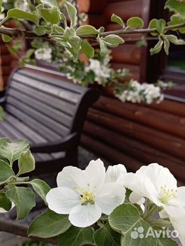 Аренда тёплых беседок