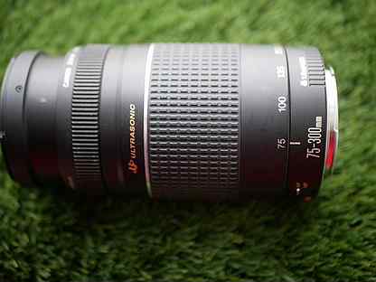 Canon Ef 75 300mm Kupit Obektiv Dlya Fotoapparata V Rossii S Dostavkoj Nedorogaya Fototehnika Avito
