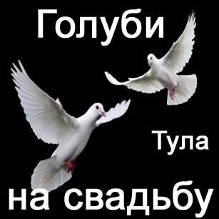 Белые голуби на свадьбу, на любое торжество