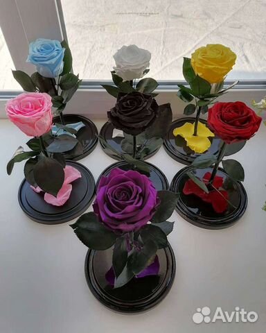 Роза в колбе