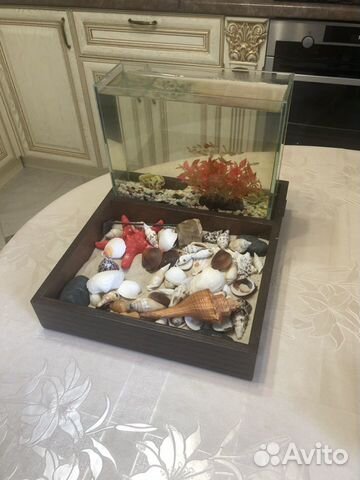 Аквариум настольный