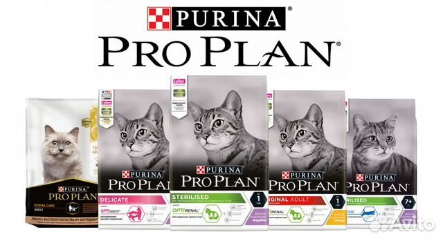 Корм для кошек Про План